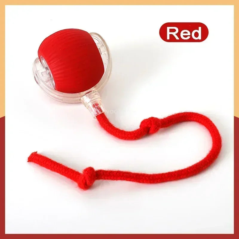 Speedy Tail 2.0 Electric Cat Toy – Automatic Rolling Ball with Dual Speed Modes
