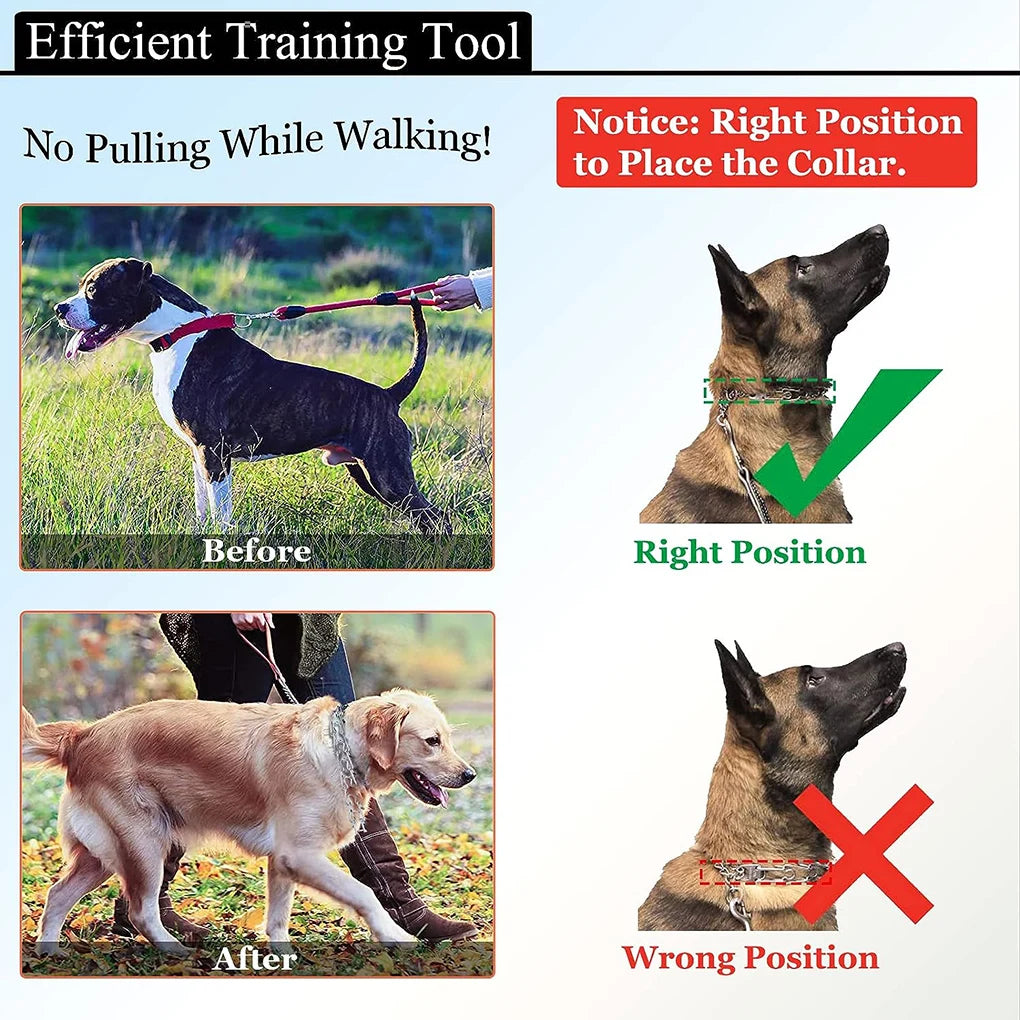 Adjustable Covered Dog Pinch Collar – Reflective Training Collar for Small, Medium & Large Dogs
