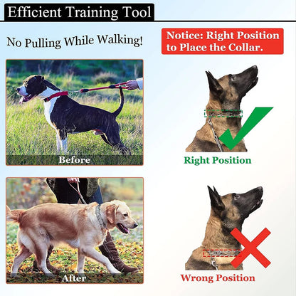Adjustable Covered Dog Pinch Collar – Reflective Training Collar for Small, Medium & Large Dogs