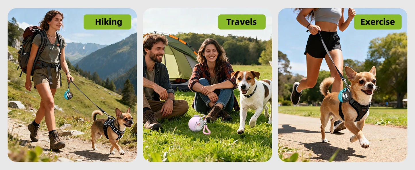 Portable Pet Water Bottle for Small Dogs – Stainless Steel & Silicone Travel Bottle