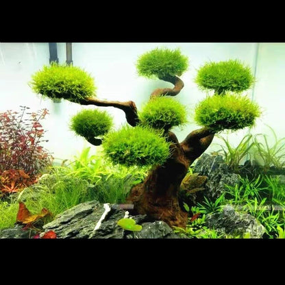 Fish Tank Driftwood Ornament – Moss Tree Trunk Decor for Aquariums