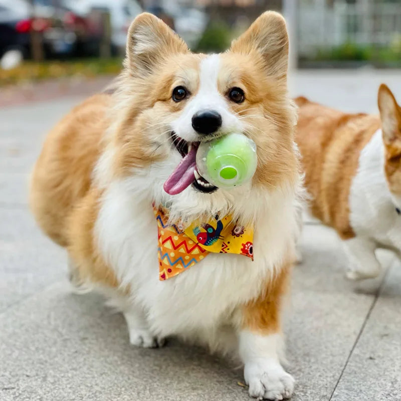 CAITEC Dog Toy Amazing Squeaker Ball Durable Floatable Springy Bite Resistant Best for Tossing Chasing For aging Medium Large Dog
