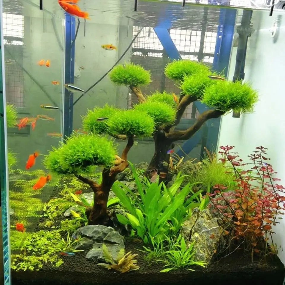 Fish Tank Driftwood Ornament – Moss Tree Trunk Decor for Aquariums