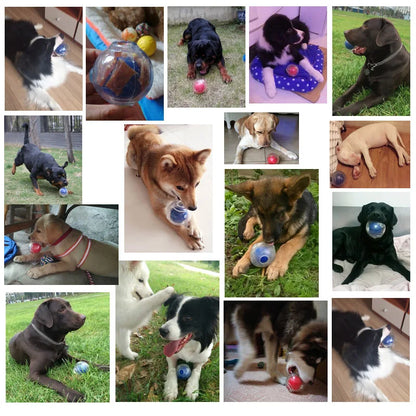 CAITEC Dog Toy Amazing Squeaker Ball Durable Floatable Springy Bite Resistant Best for Tossing Chasing For aging Medium Large Dog