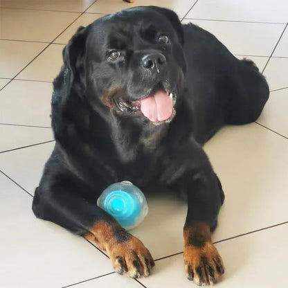 CAITEC Dog Toy Amazing Squeaker Ball Durable Floatable Springy Bite Resistant Best for Tossing Chasing For aging Medium Large Dog