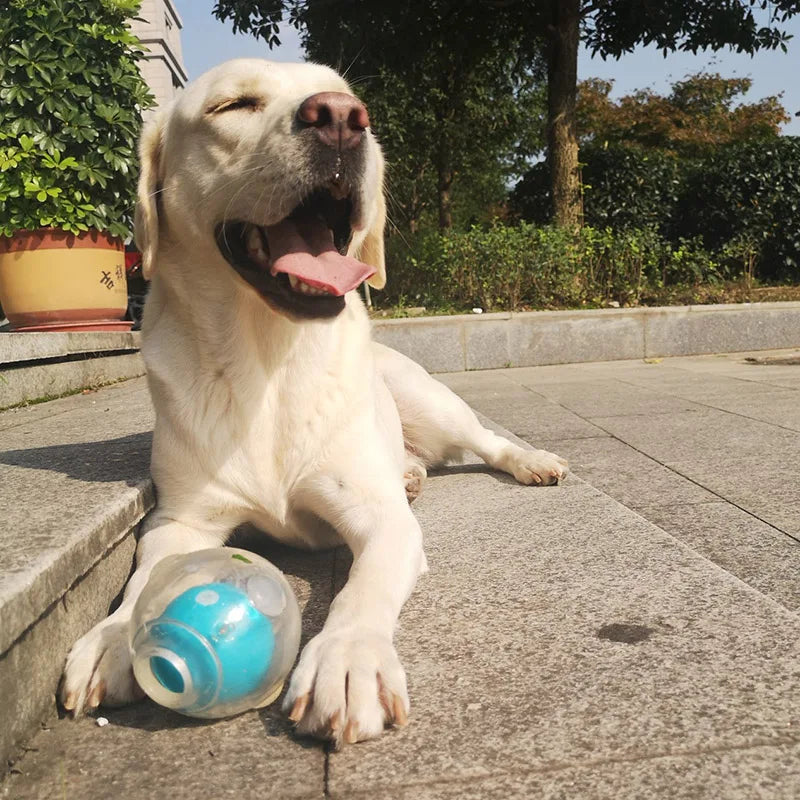 CAITEC Dog Toy Amazing Squeaker Ball Durable Floatable Springy Bite Resistant Best for Tossing Chasing For aging Medium Large Dog