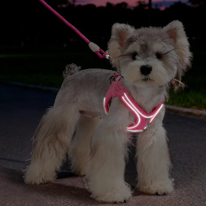Reflective Adjustable Cat & Dog Harness – Lightweight Outdoor Walking Vest with Leash