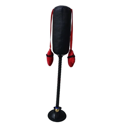 Indoor Cat Punching Bag – Interactive Boxing Toy with Dangling Gloves