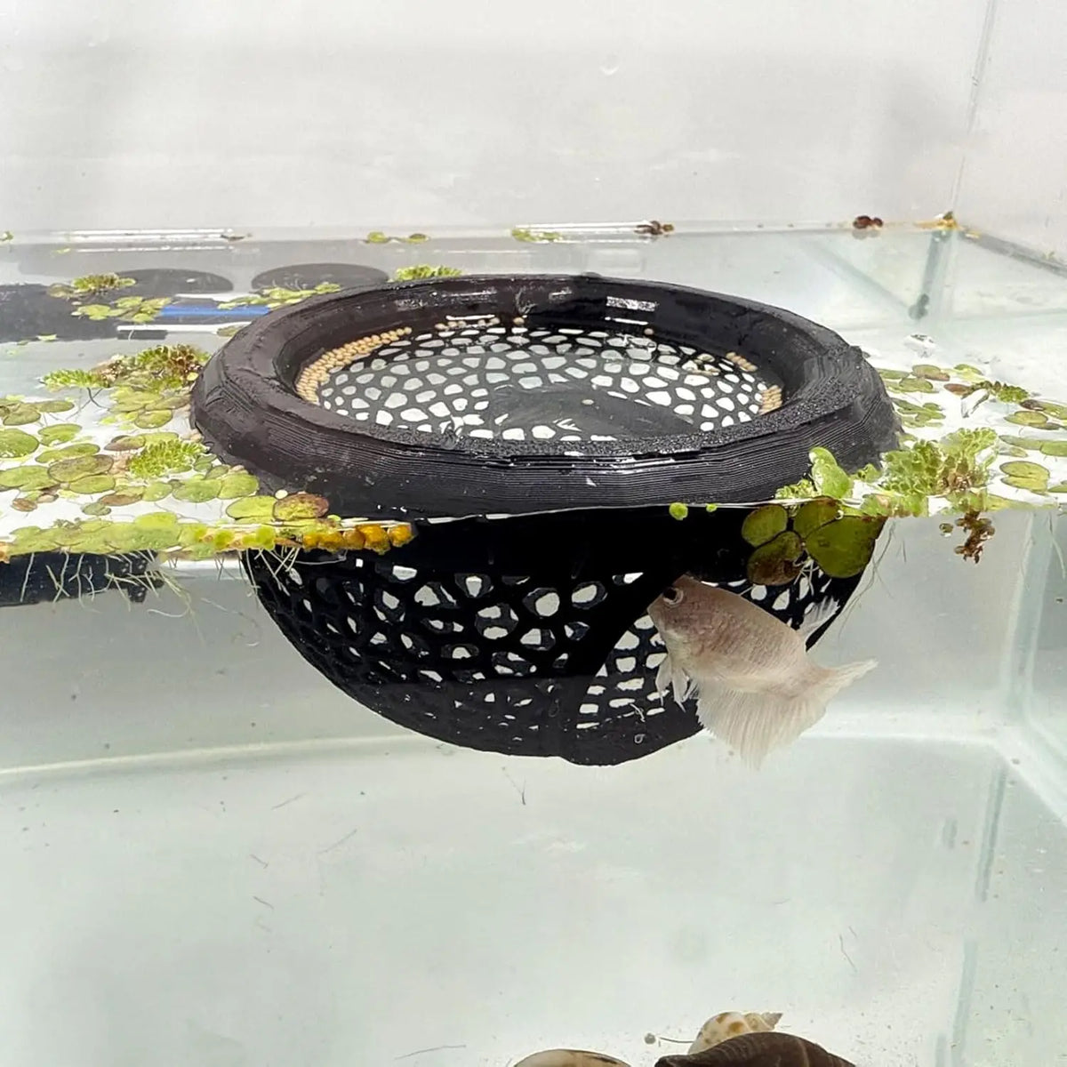 Aquarium Floating Cave Fish Shrimp Hideout Shelter 3-in-1 Hammock Feeding Ring & Resting Spot for Betta Small Aquatic Pets