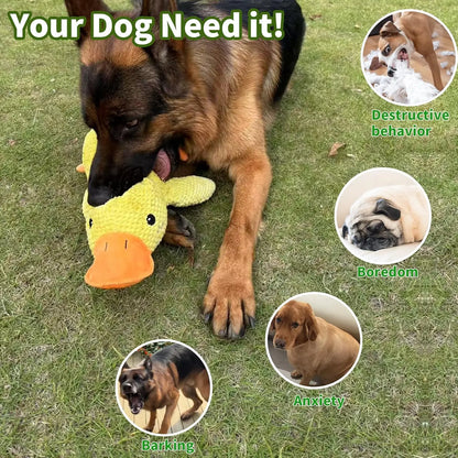 Duck Plush Dog Toy – Quacking Squeaky Chew Toy for Small, Medium & Large Dogs