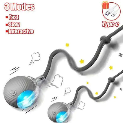 Interactive Rubber Chew Toy for Dogs – Durable Toy for Extended Play & Training