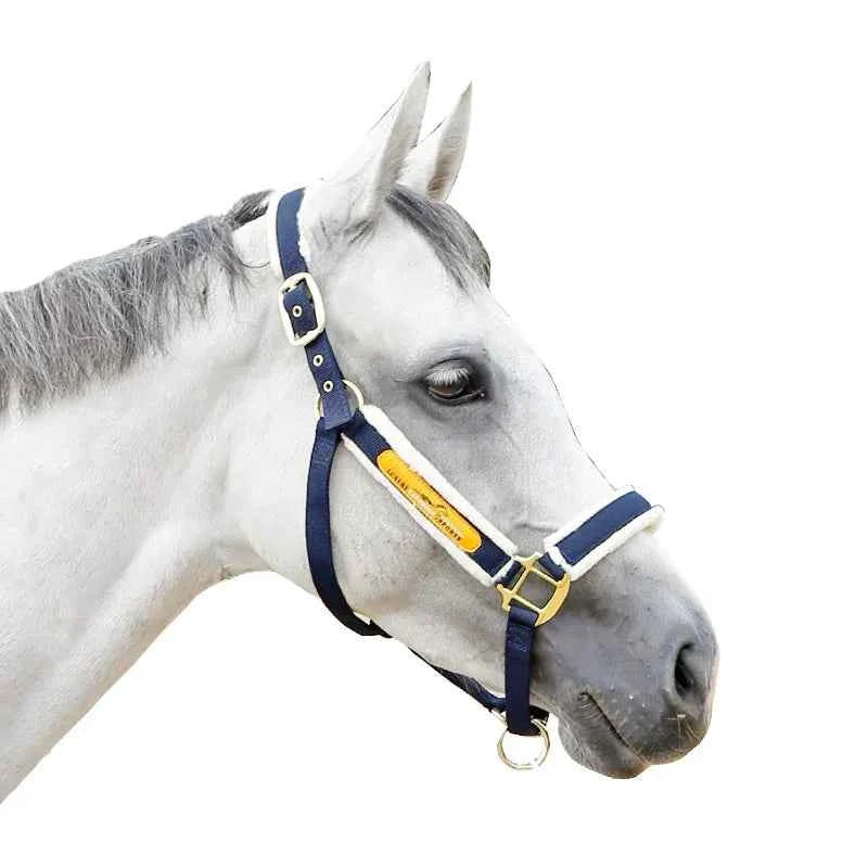 Bridle Cage Cover Anti-wear Lead Horse Training Pet Supplies Harness Equestrian Supplies