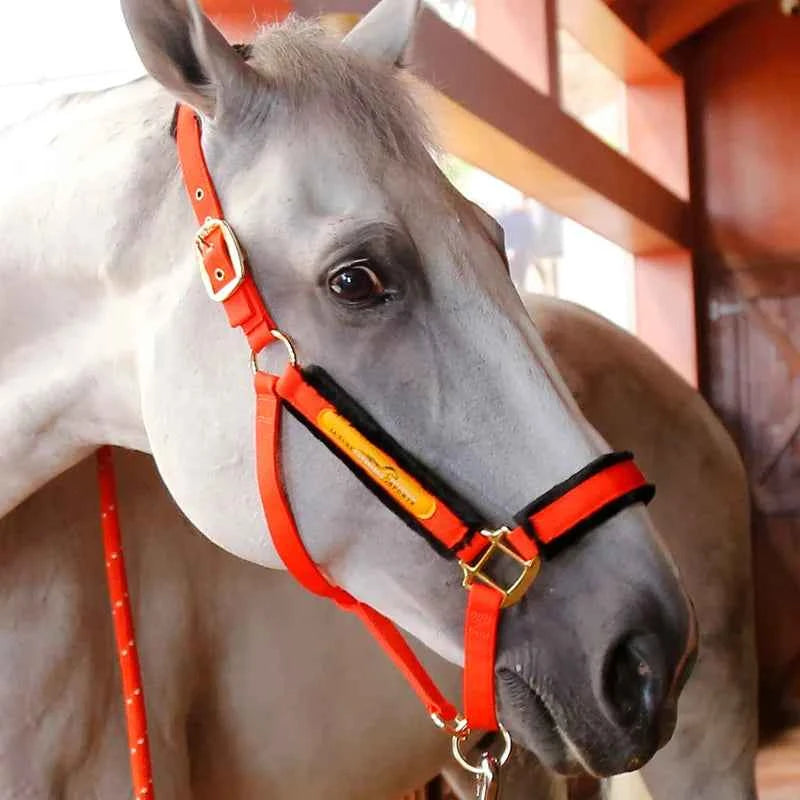 Bridle Cage Cover Anti-wear Lead Horse Training Pet Supplies Harness Equestrian Supplies