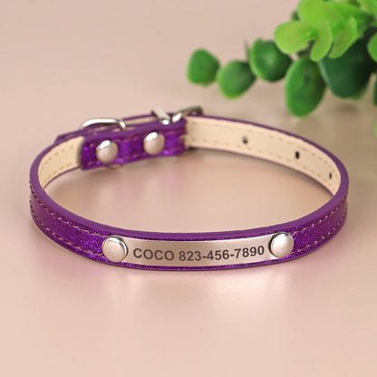 Bling Pet Collar with ID Tag – Personalized Anti-Lost Collar for Cats & Small Dogs