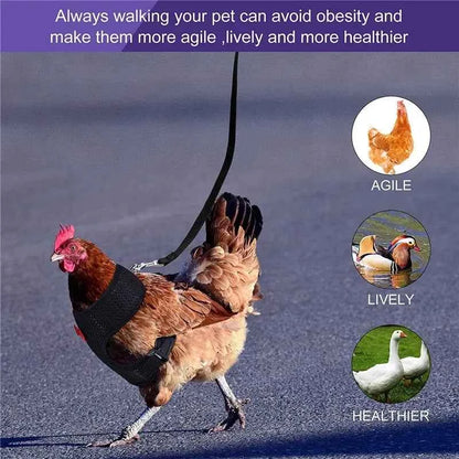 1pc Fashion Chicken Duck Vest Hen Belt Pet Harness Matching Collars Bow Comfortable Leads Breathable Poultry Supplies