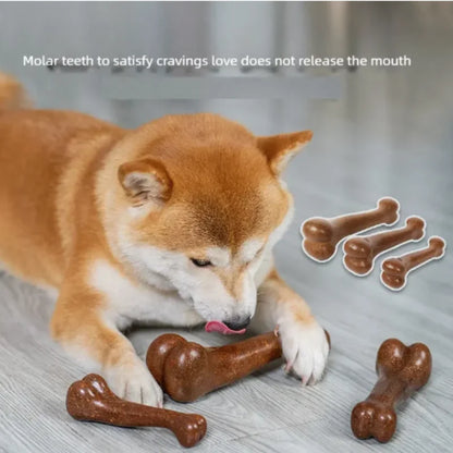 Natural Dog Bone Toy – Long-Lasting Chew Toy for Aggressive Chewers