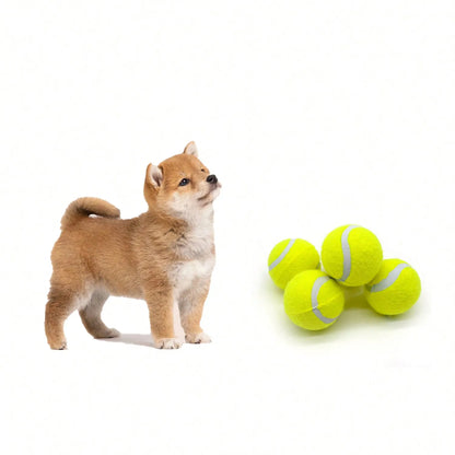 Durable Rubber Fetch Balls for Dogs – 4-Pack Interactive Tennis Toys