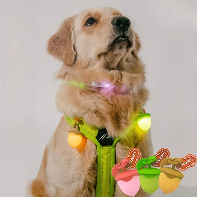 LED Dog Walking Pendant – Waterproof Night Safety Light for Pets
