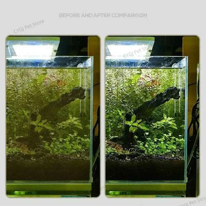 Fish Tank Algae Removal Tool – Flat Scraper for Glass Cleaning & Substrate Care