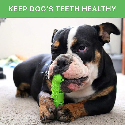 Rubber Dog Toothbrush Toy – Interactive Treat Ball for Chewing & Dental Care