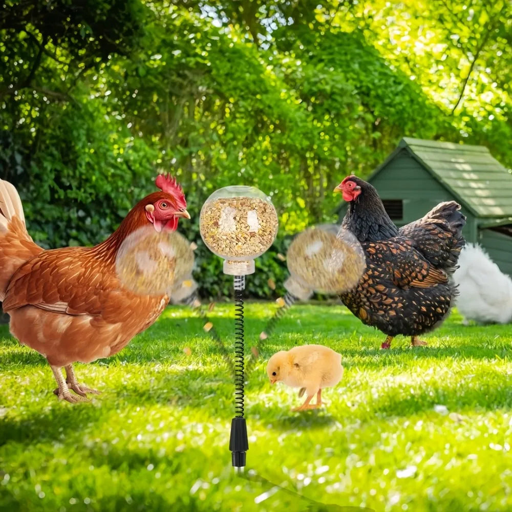 2PCS Chicken Pecking Toy Set – Automatic Treat Ball Feeders for Chickens & Ducks