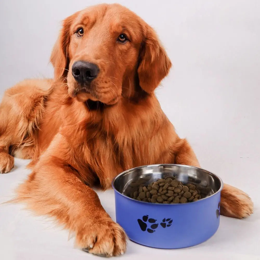 Stainless Steel Pet Food Bowl – Cartoon Footprint Anti-Slip Dog Bowl