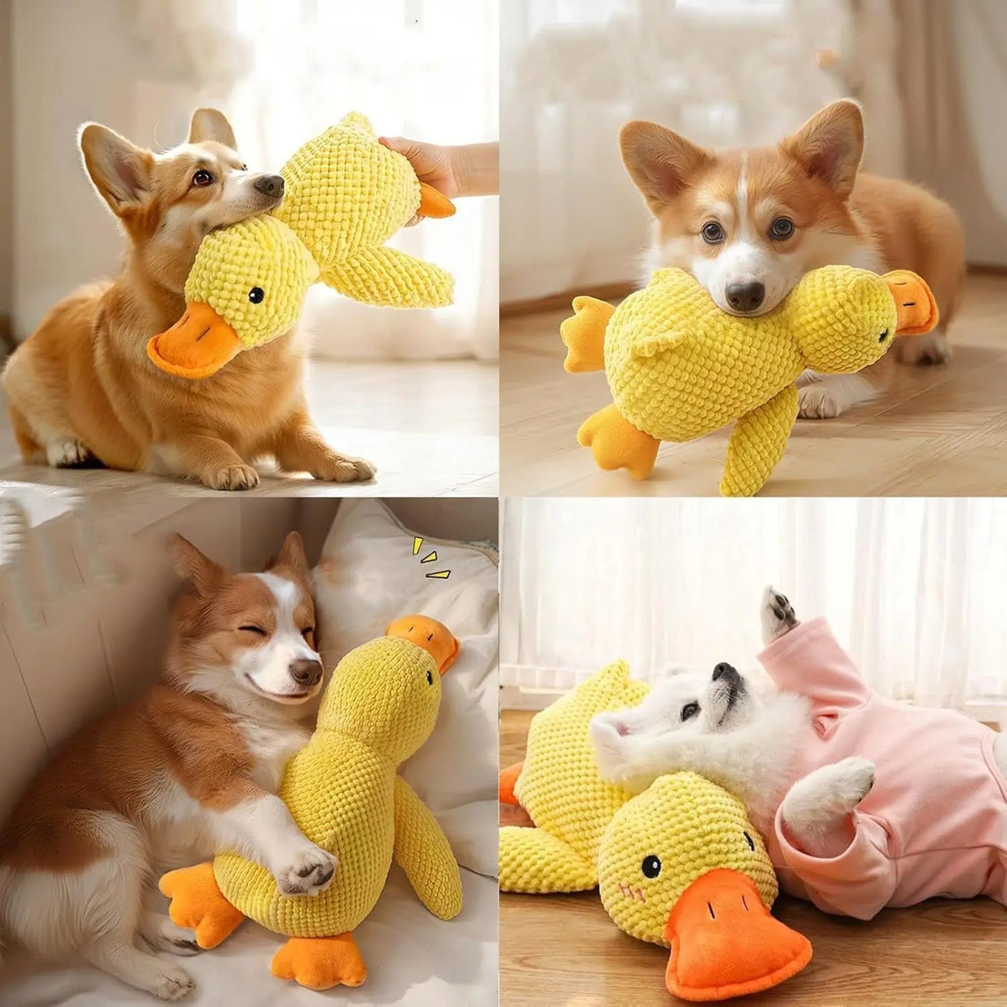 Duck Plush Dog Toy – Quacking Squeaky Chew Toy for Small, Medium & Large Dogs
