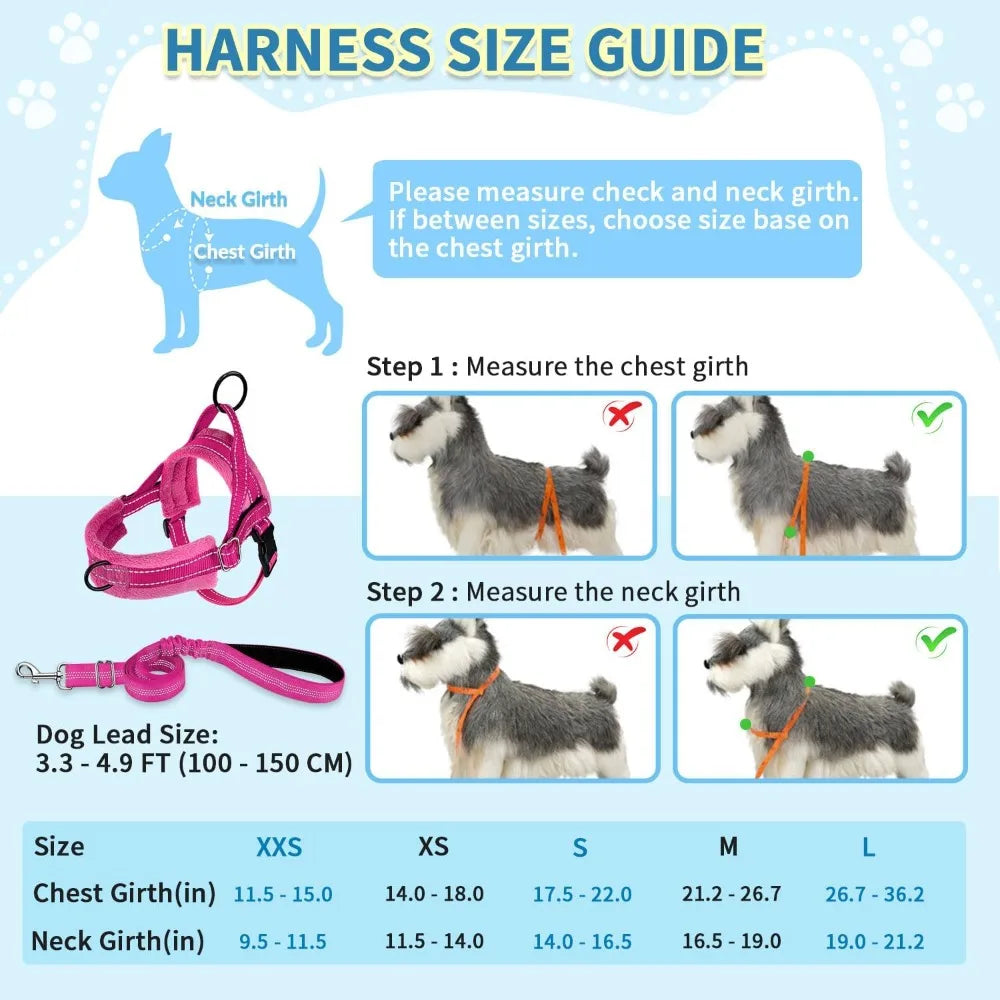 Small Dog No-Pull Harness Set – Reflective Soft Vest with Matching Leash