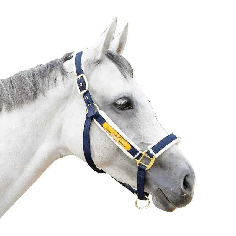Bridle Cage Cover Anti-wear Lead Horse Training Pet Supplies Harness Equestrian Supplies