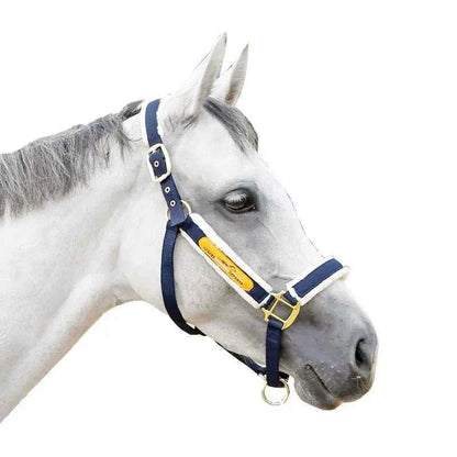 Bridle Cage Cover Anti-wear Lead Horse Training Pet Supplies Harness Equestrian Supplies