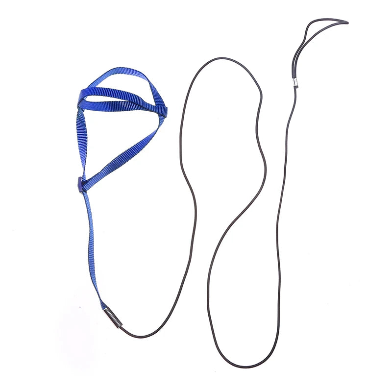 Bird Training Leash & Harness – Anti-Bite Flying Rope for Parrots and Small Birds