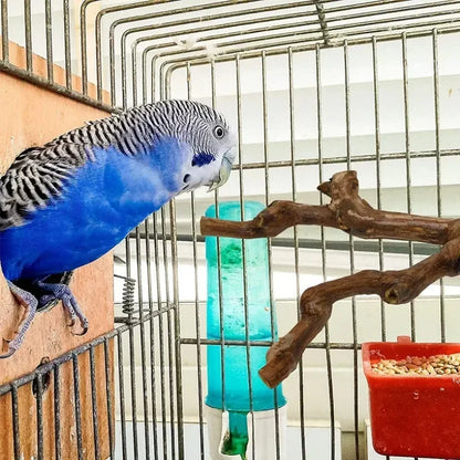 Natural Bird Cage Perch – Grape Wood Claw Grinding Toy for Cockatiels