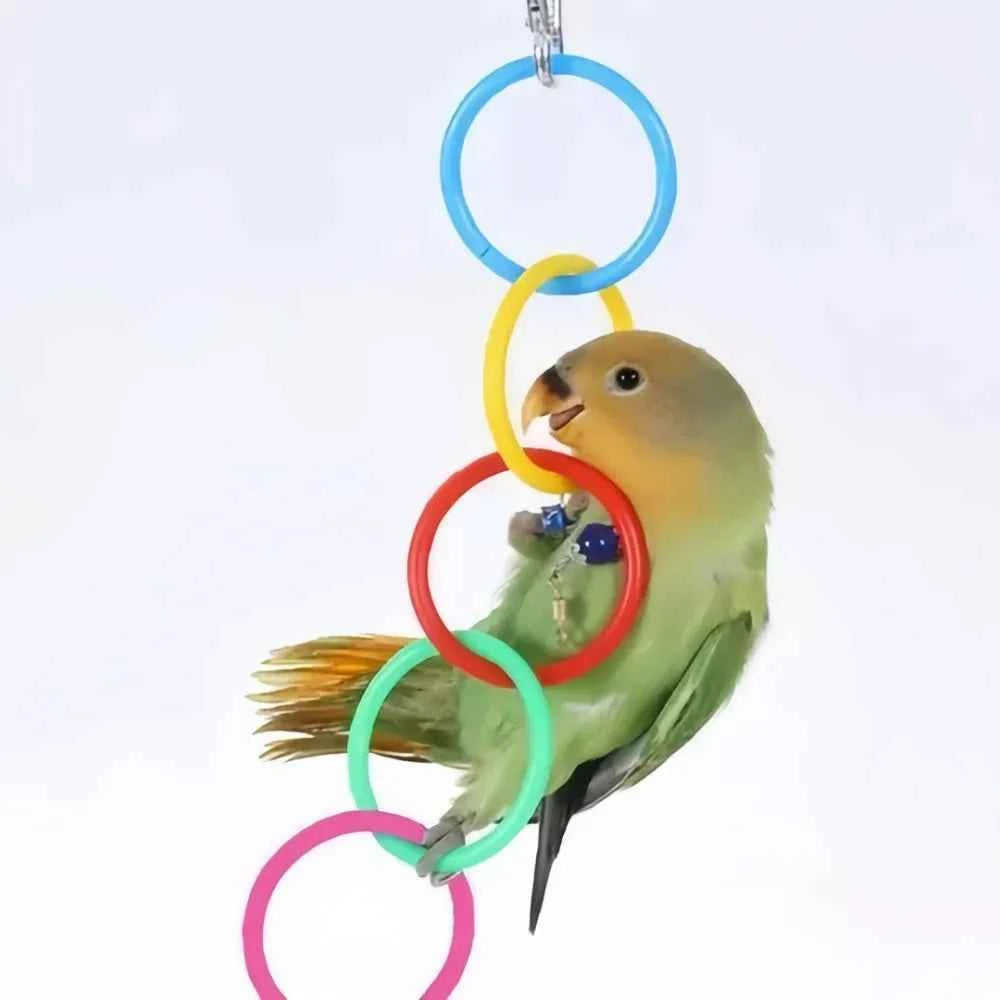 Colorful Plastic Hanging Ring Toy Birds Use To Play and Relieve Boredom Climbing Swing Interactive Toy for Bird Cage Accessories