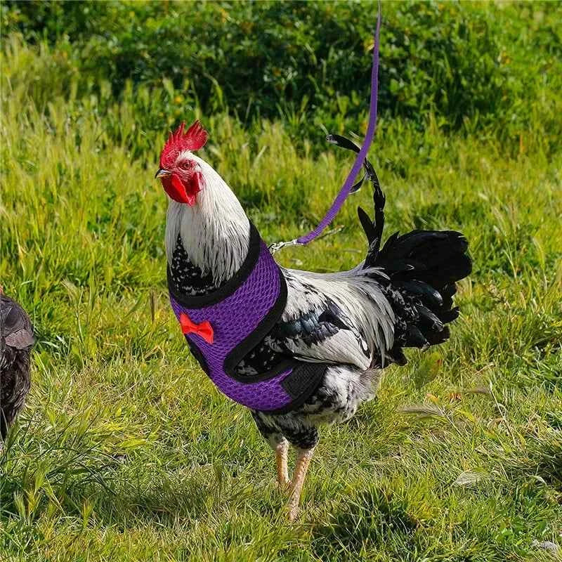 1pc Fashion Chicken Duck Vest Hen Belt Pet Harness Matching Collars Bow Comfortable Leads Breathable Poultry Supplies