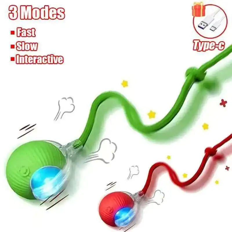 Interactive Rubber Chew Toy for Dogs – Durable Toy for Extended Play & Training