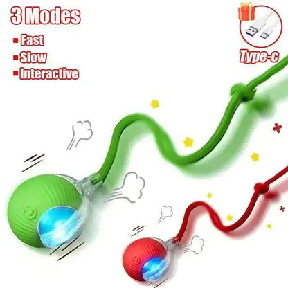 Interactive Rubber Chew Toy for Dogs – Durable Toy for Extended Play & Training
