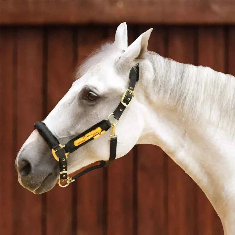 Bridle Cage Cover Anti-wear Lead Horse Training Pet Supplies Harness Equestrian Supplies