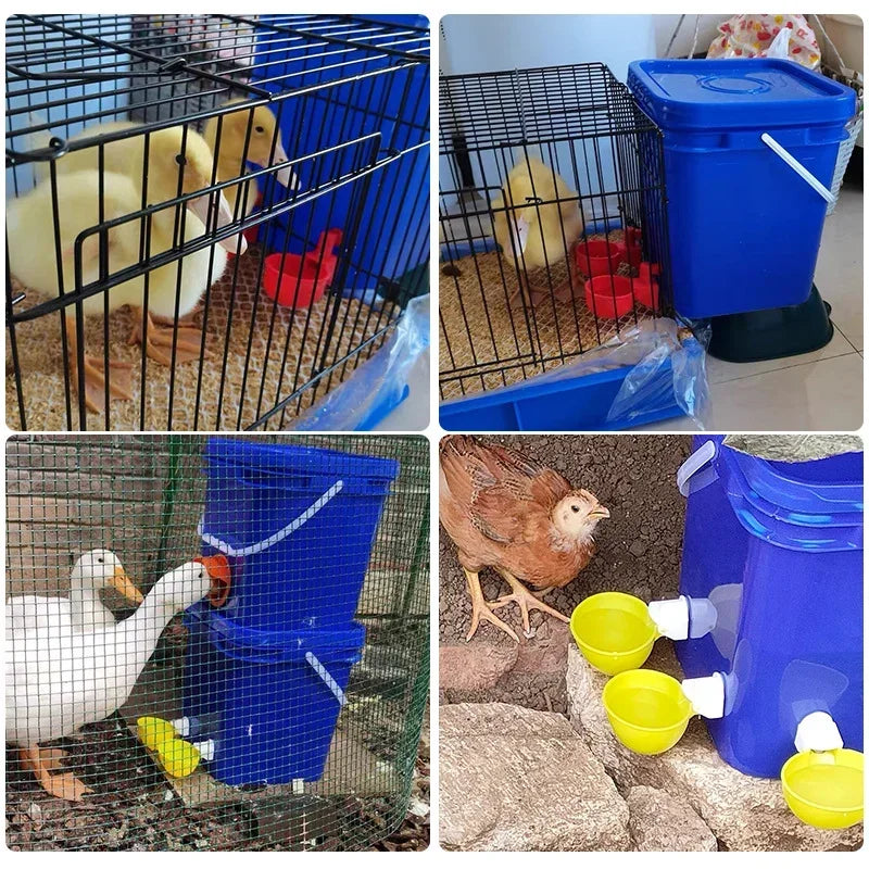 Drinking Water Feeder for Chicks Duck Goose Turkey Quail Automatic Chicken Water Cup Waterer Bowl Kit Farm Coop Poultry Waterer