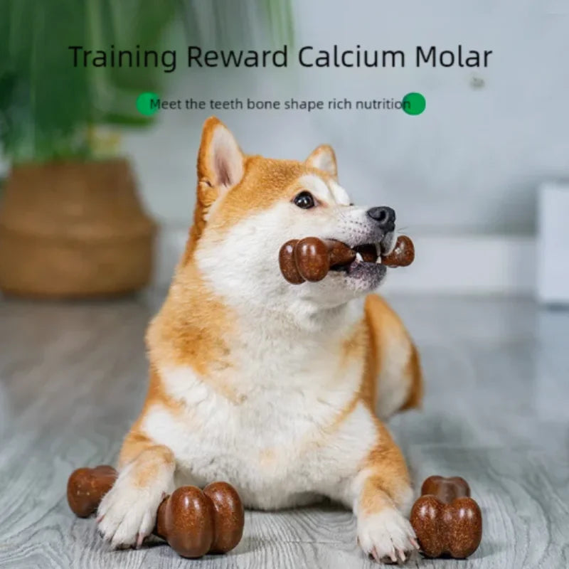 Natural Dog Bone Toy – Long-Lasting Chew Toy for Aggressive Chewers