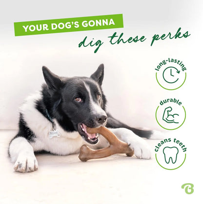 Durable Benebone Wishbone for Dogs – Real Bacon Flavor Chew Toy for Strong Chewers