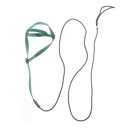 Bird Training Leash & Harness – Anti-Bite Flying Rope for Parrots and Small Birds