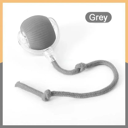 Speedy Tail 2.0 Electric Cat Toy – Automatic Rolling Ball with Dual Speed Modes