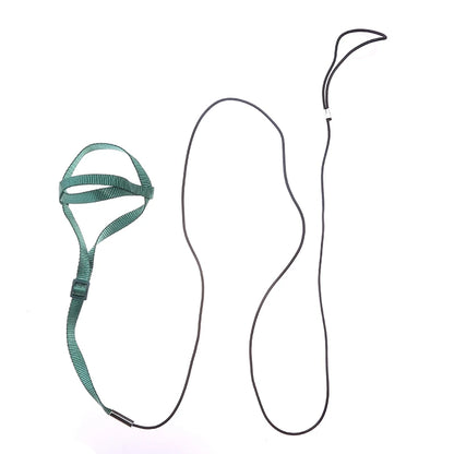 Bird Training Leash & Harness – Anti-Bite Flying Rope for Parrots and Small Birds