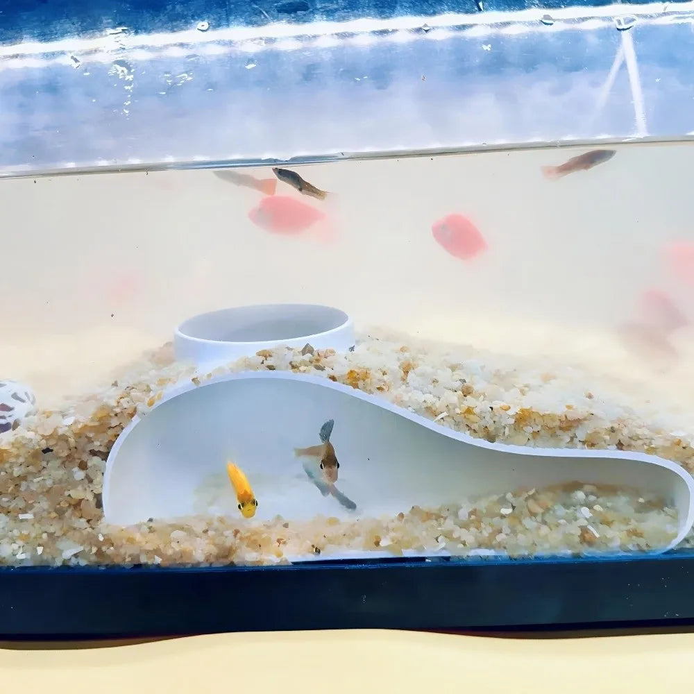 Aquarium Tunnel Cave – Curved 3D Printed Shelter for Shrimp & Small Fish