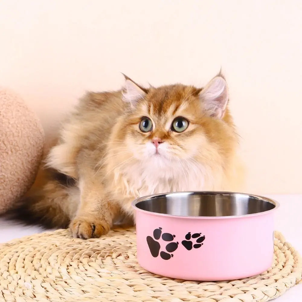Stainless Steel Pet Food Bowl – Cartoon Footprint Anti-Slip Dog Bowl
