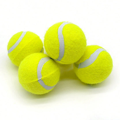 Durable Rubber Fetch Balls for Dogs – 4-Pack Interactive Tennis Toys