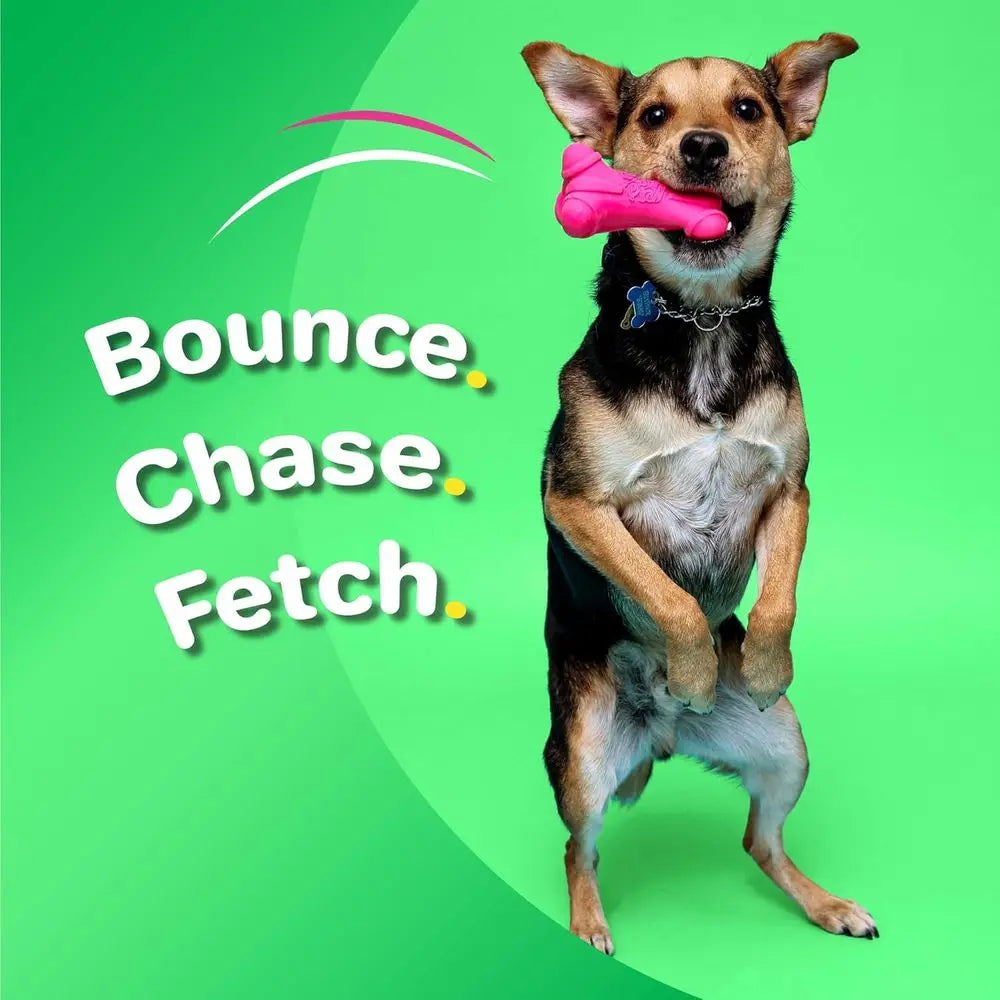 Squeaky Latex Dog Bone Toys, 3-Pack, Ideal for Medium Breeds