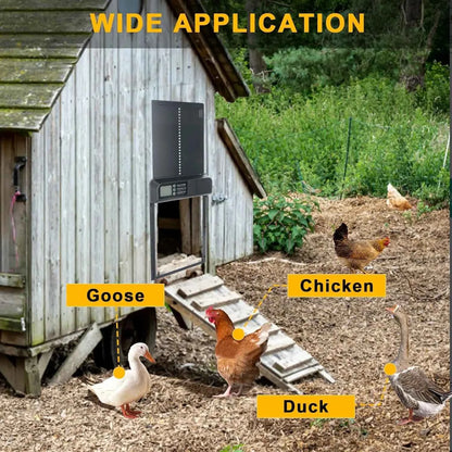 Electric Chicken Coop Door – Automatic Opening & Closing with Built-In Safety Protection