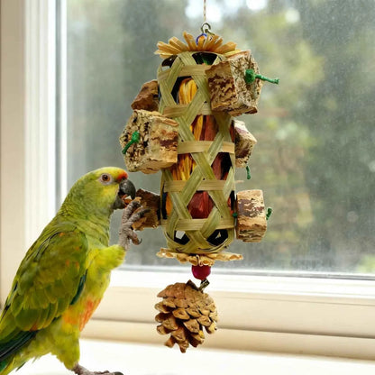 Parrot Toys For aging Chew Pet Supplies Colorful Husk Parrot Toys for Mental Play Training Indoor Finches Lovebirds African Grey