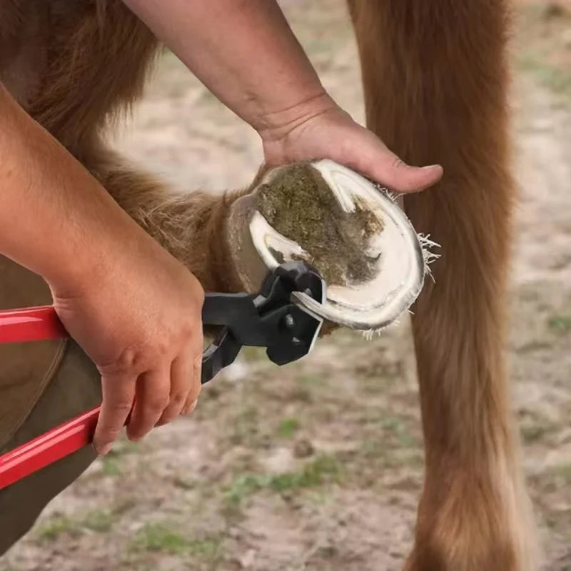 Professional Horse Hoof Tools – Farrier Kit with Hoof Rasp, Nippers & Knife